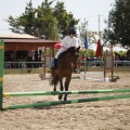 Poni club
