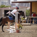 Poni club