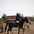 Poni club