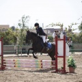 Poni club