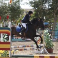 Poni club