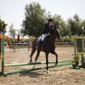 Poni club