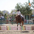Poni club