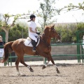 Poni club