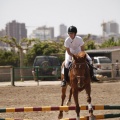 Poni club