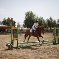 Poni club