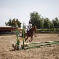 Poni club