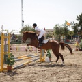 Poni club