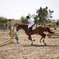 Poni club