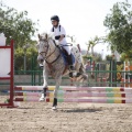 Poni club