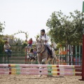 Poni club