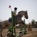 Poni club