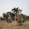 Poni club