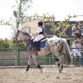 Poni club
