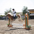 Poni club