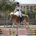 Poni club