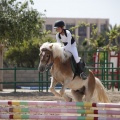 Poni club