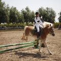 Poni club
