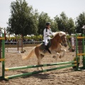 Poni club