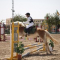 Poni club