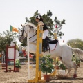 Poni club