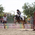 Poni club