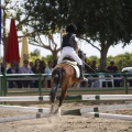 Poni club