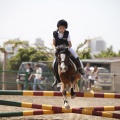 Poni club