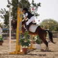 Poni club