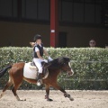 Poni club