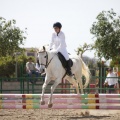 Poni club