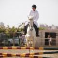 Poni club