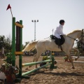 Poni club