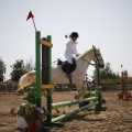Poni club