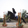 Poni club
