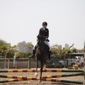 Poni club