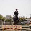 Poni club