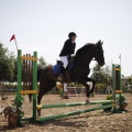 Poni club