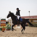 Poni club