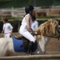 Poni club