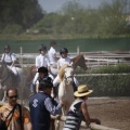 Poni club