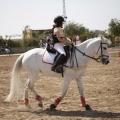 Poni club