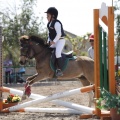 Poni club