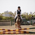 Poni club