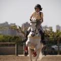 Poni club