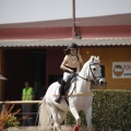 Poni club