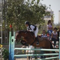 Poni club