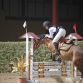 Poni club