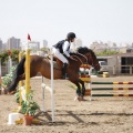 Poni club