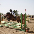 Poni club